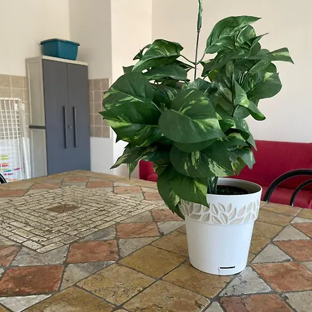 Residenze D'annunzio - Premium Tortoreto